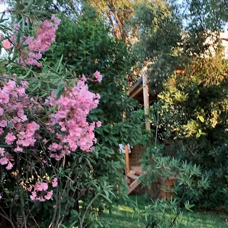 Holiday home La Tiny Des Iles D'or